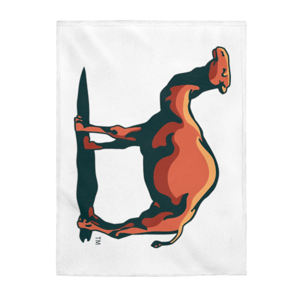 Camel Blanket – Camel City Clothing